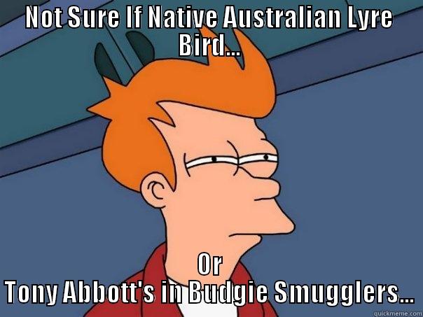 NOT SURE IF NATIVE AUSTRALIAN LYRE BIRD... OR TONY ABBOTT'S IN BUDGIE SMUGGLERS... Futurama Fry