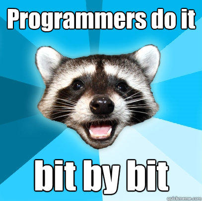 Programmers do it bit by bit - Programmers do it bit by bit  Lame Pun Coon