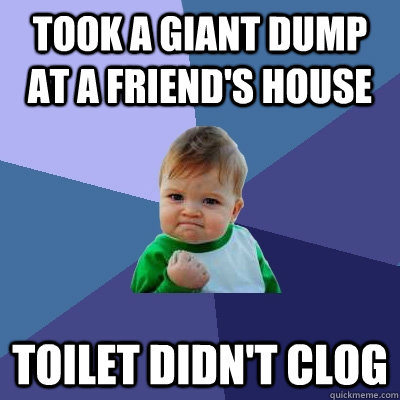 Took a giant dump at a friend's house Toilet didn't clog - Took a giant dump at a friend's house Toilet didn't clog  Success Kid