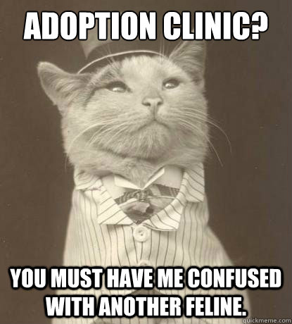 Adoption clinic? you must have me confused with another feline.  Aristocat