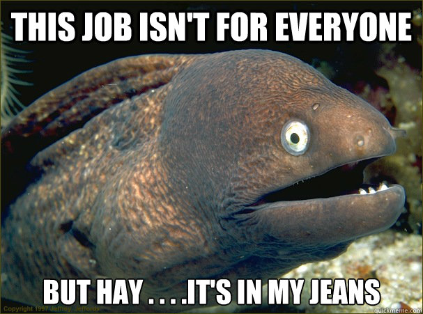 this job isn't for everyone but hay . . . .it's in my jeans  Bad Joke Eel