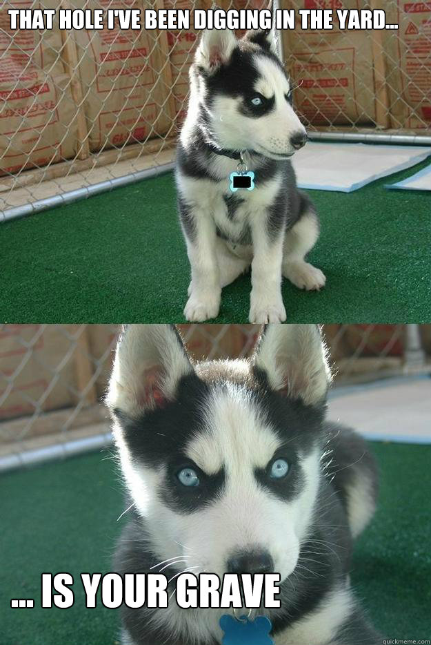 That hole i've been digging in the yard... ... is your grave  Insanity puppy