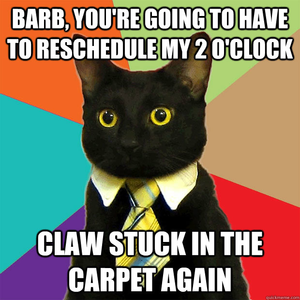 Barb, you're going to have to reschedule my 2 o'clock Claw stuck in the carpet again  Business Cat