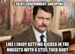 I enjoy government snooping

 like i enjoy getting kicked in the nuggets with a steel toed boot  Ron Swanson