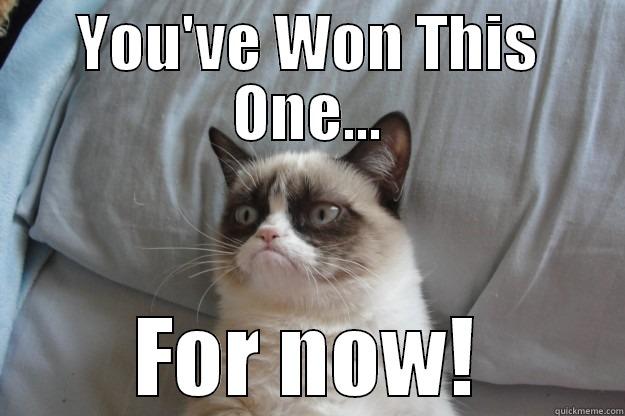 YOU'VE WON THIS ONE... FOR NOW! Grumpy Cat