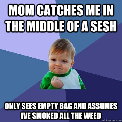 Mom catches me in the middle of a sesh only sees empty bag and assumes ive smoked all the weed  Success Kid