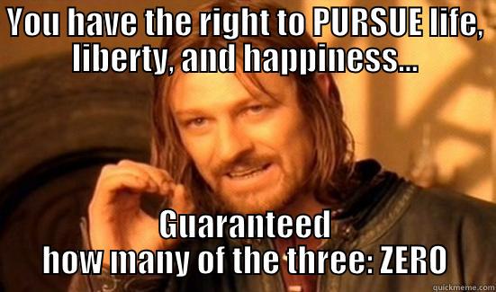 YOU HAVE THE RIGHT TO PURSUE LIFE, LIBERTY, AND HAPPINESS... GUARANTEED HOW MANY OF THE THREE: ZERO Boromir