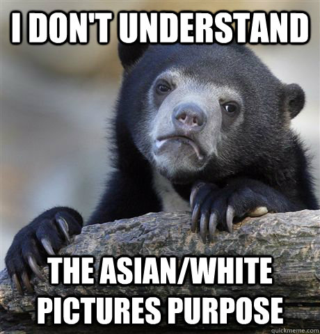 I don't understand the Asian/White pictures purpose  Confession Bear