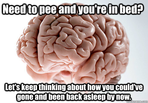 Need to pee and you're in bed? Let's keep thinking about how you could've gone and been back asleep by now.    Scumbag Brain