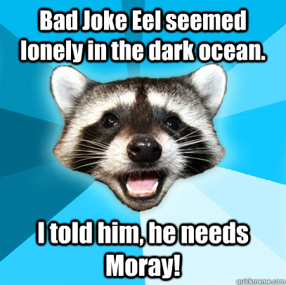 Bad Joke Eel seemed lonely in the dark ocean. I told him, he needs Moray!  Lame Pun Coon