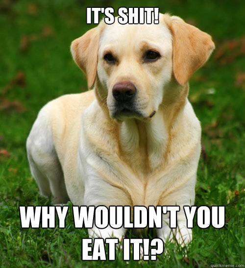 It's Shit! Why wouldn't you eat it!?  Dog Logic