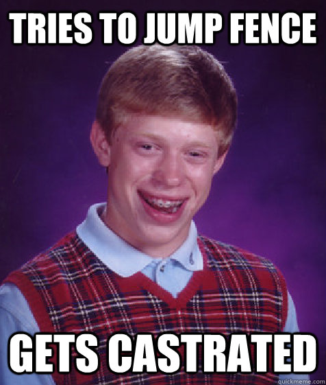 Tries to jump fence gets castrated   Bad Luck Brian