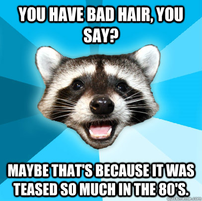 YOU HAVE BAD HAIR, YOU SAY? MAYBE THAT'S BECAUSE IT WAS TEASED SO MUCH IN THE 80'S. - YOU HAVE BAD HAIR, YOU SAY? MAYBE THAT'S BECAUSE IT WAS TEASED SO MUCH IN THE 80'S.  Lame Pun Coon