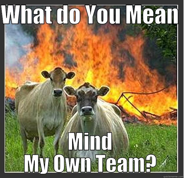 WHAT DO YOU MEAN  MIND MY OWN TEAM? Evil cows