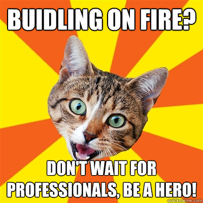 buidling on fire? don't wait for professionals, be a hero!  Bad Advice Cat