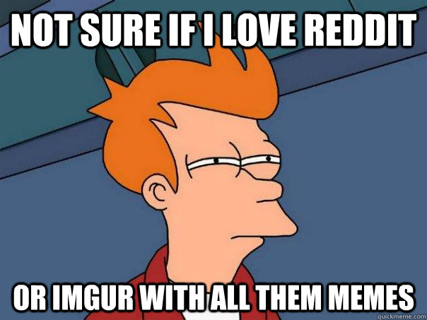 Not sure if I love reddit Or imgur with all them memes  Futurama Fry