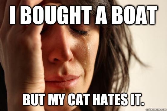 I bought a boat but my cat hates it. - I bought a boat but my cat hates it.  First World Problems