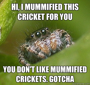 hi, i mummified this cricket for you you don't like mummified crickets. Gotcha  Misunderstood Spider