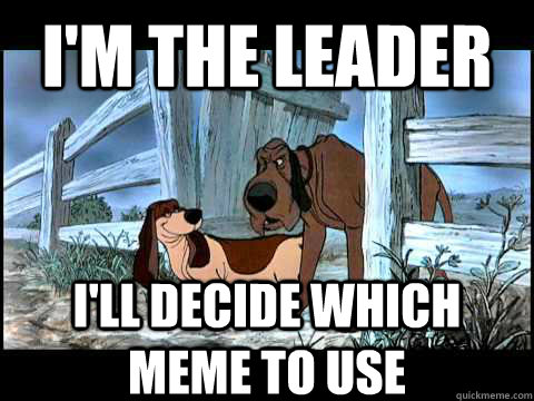 i'm the leader i'll decide which meme to use - i'm the leader i'll decide which meme to use  Aristocats Dogs Leader