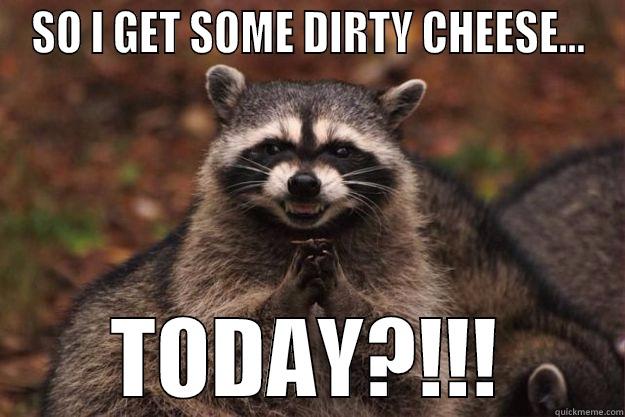 SO I GET SOME DIRTY CHEESE... TODAY?!!! Evil Plotting Raccoon