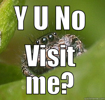 Y U NO VISIT ME? Misunderstood Spider