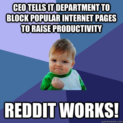 CEO tells It department to block popular internet pages to raise productivity reddit works!  Success Kid