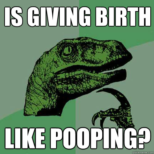 is giving birth like pooping? - is giving birth like pooping?  Philosoraptor