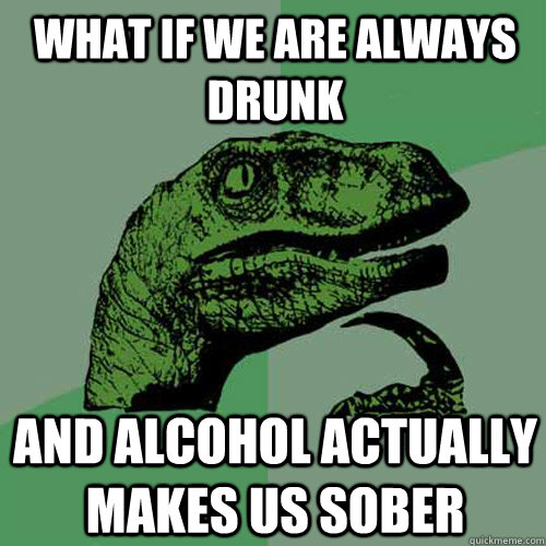 what if we are always drunk  and alcohol actually makes us sober   Philosoraptor