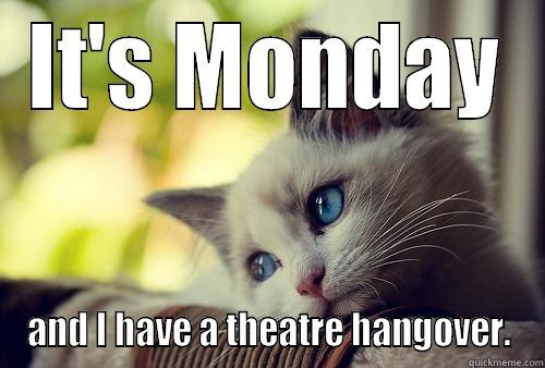 IT'S MONDAY AND I HAVE A THEATRE HANGOVER. First World Problems Cat