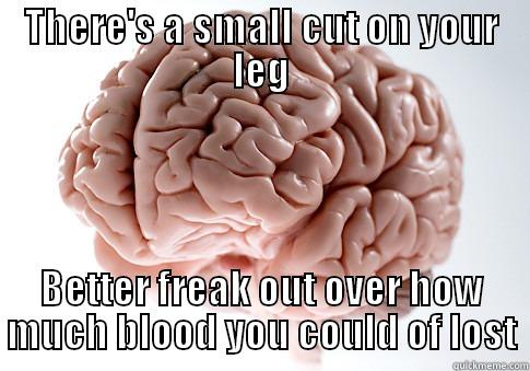 THERE'S A SMALL CUT ON YOUR LEG BETTER FREAK OUT OVER HOW MUCH BLOOD YOU COULD OF LOST Scumbag Brain