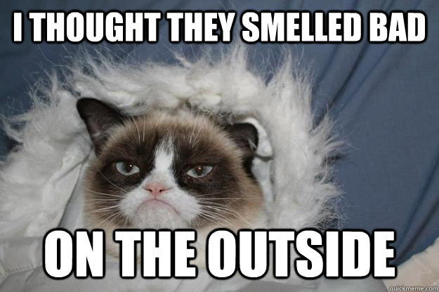 I thought they smelled bad on the outside  Han Grumpy Cat