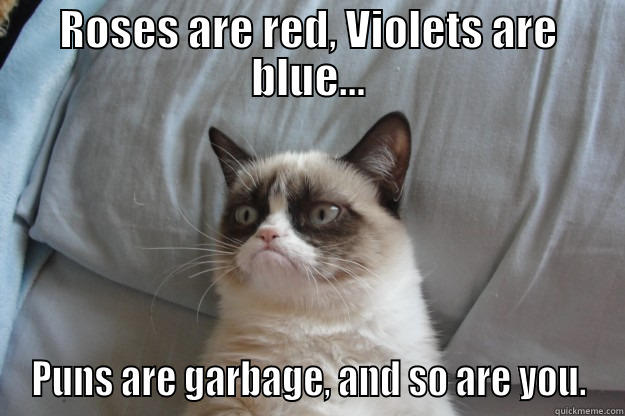 Puns are garbage - ROSES ARE RED, VIOLETS ARE BLUE... PUNS ARE GARBAGE, AND SO ARE YOU. Grumpy Cat