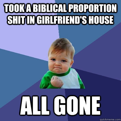 took a biblical proportion shit in girlfriend's house all gone  Success Kid