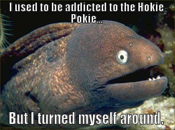 Hokie Pokie - I USED TO BE ADDICTED TO THE HOKIE POKIE... BUT I TURNED MYSELF AROUND. Bad Joke Eel