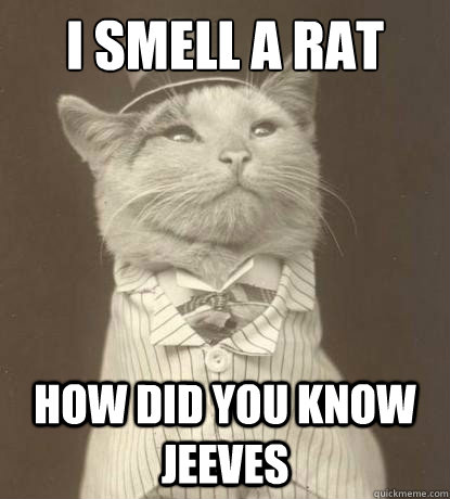 I smell a rat How did you know jeeves   Aristocat