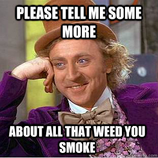 Please tell me some more about all that weed you smoke - Please tell me some more about all that weed you smoke  Condescending Wonka