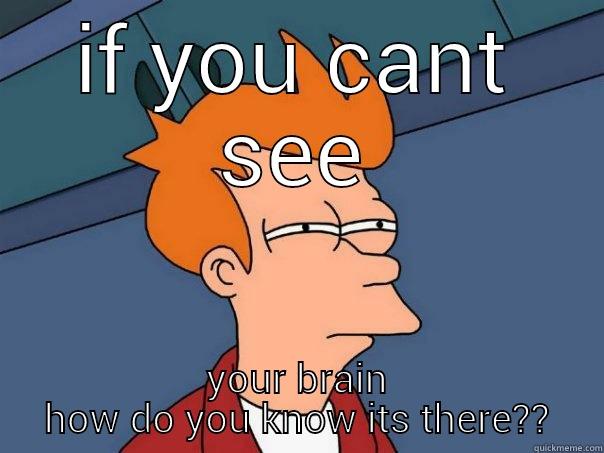 where is my brain do i even have one - IF YOU CANT SEE YOUR BRAIN HOW DO YOU KNOW ITS THERE?? Futurama Fry