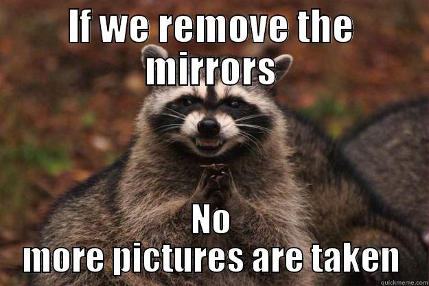 IF WE REMOVE THE MIRRORS NO MORE PICTURES ARE TAKEN Evil Plotting Raccoon