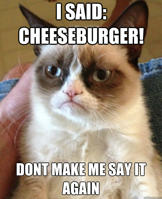 i said: cheeseburger! dont make me say it again  Grumpy Cat