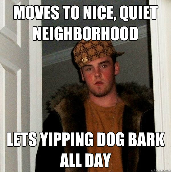 moves to nice, quiet neighborhood lets yipping dog bark all day  Scumbag Steve