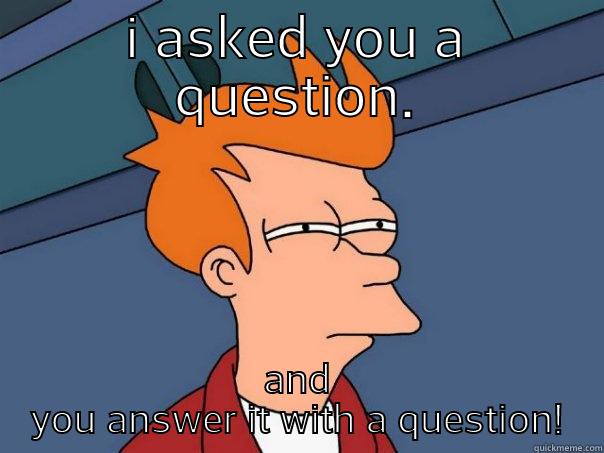 I ASKED YOU A QUESTION. AND YOU ANSWER IT WITH A QUESTION! Futurama Fry