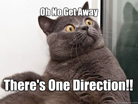 Oh No Get Away There's One Direction!!  conspiracy cat