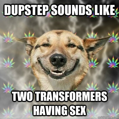 Dupstep sounds like two transformers having sex  Stoner Dog