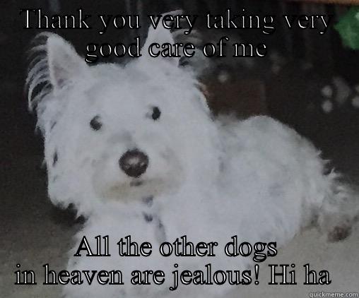 THANK YOU VERY TAKING VERY GOOD CARE OF ME ALL THE OTHER DOGS IN HEAVEN ARE JEALOUS! HI HA  Misc