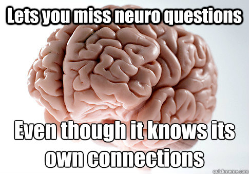 Lets you miss neuro questions Even though it knows its own connections  Scumbag Brain