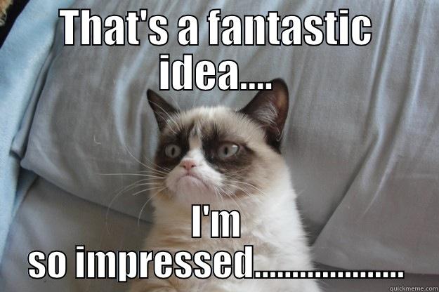 THAT'S A FANTASTIC IDEA.... I'M SO IMPRESSED.................... Grumpy Cat