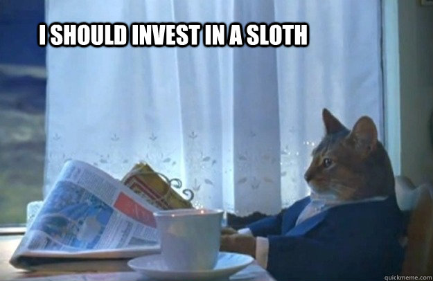 I should Invest in a sloth  Sophisticated Cat