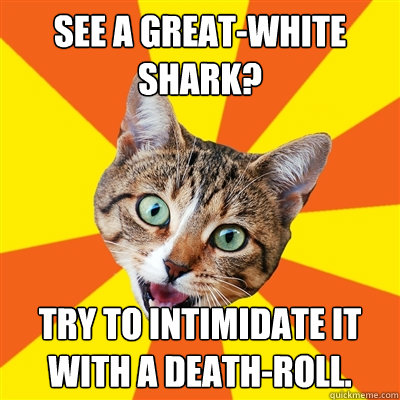 See a Great-white shark? Try to intimidate it with a death-roll.  Bad Advice Cat