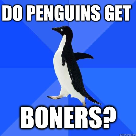 Do penguins get Boners? - Socially Awkward Penguin - quickmeme