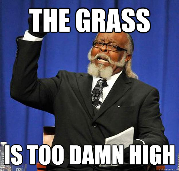 The Grass Is too damn high - The Grass Is too damn high  Jimmy McMillan